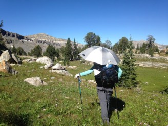 Grand Tetons Part 1: Death Canyon - Alaska Basin Loop