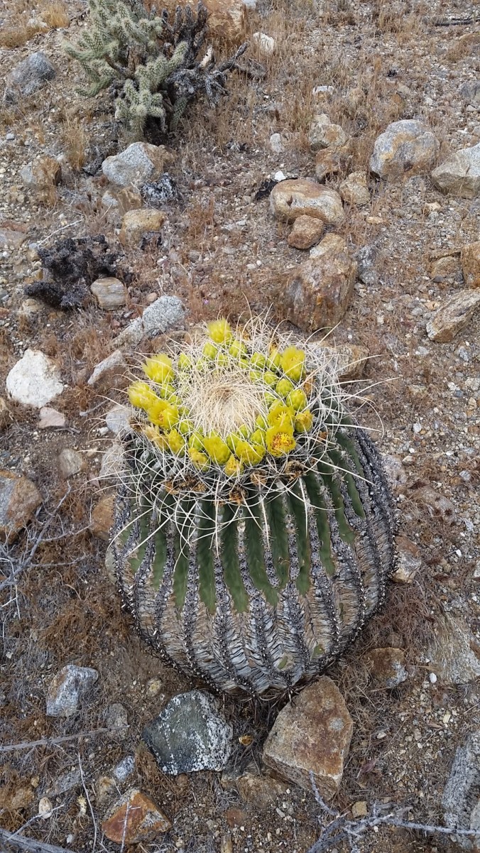 2016-04-10-20-14-22.jpg image