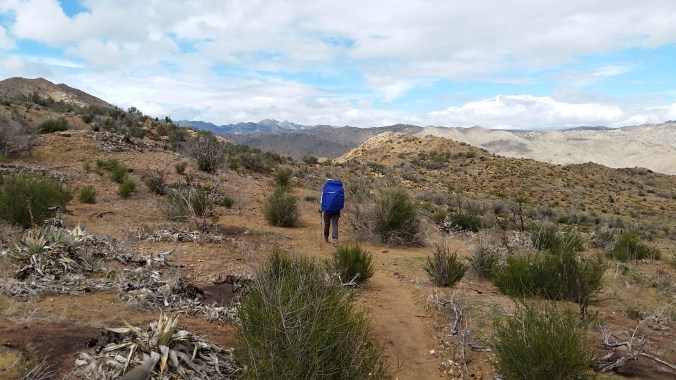 2016-04-10-20-15-04.jpg image