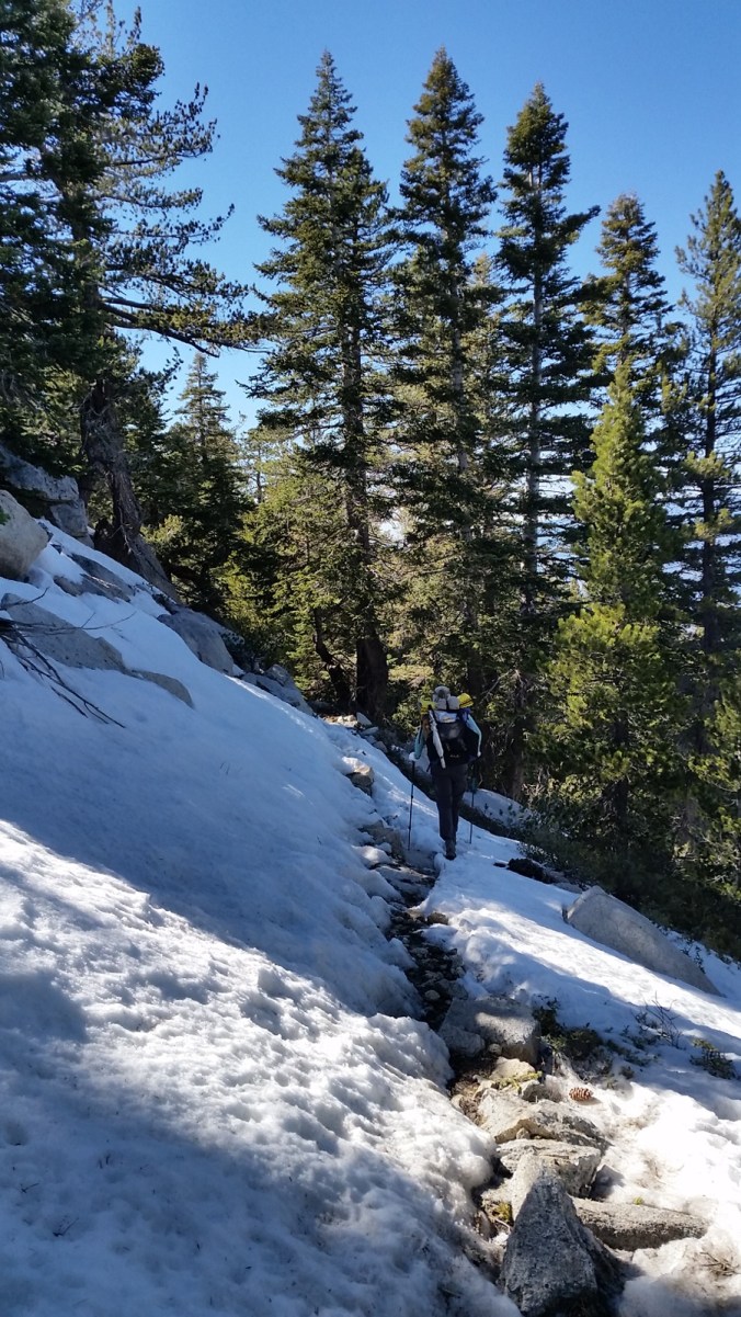 2016-04-18-19-01-41.jpg image