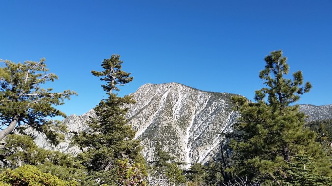 2016-04-18-19-02-16.jpg image