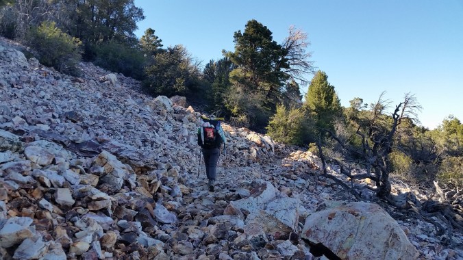 2016-04-23-21-10-34.jpg image