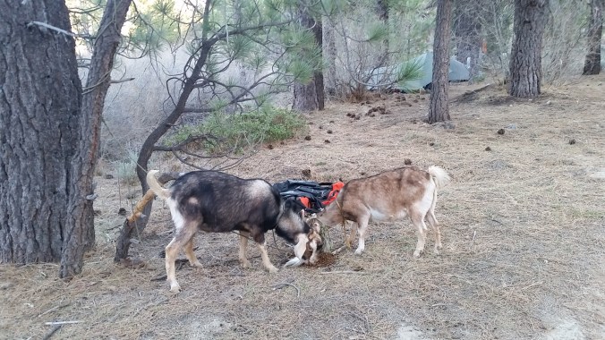 2016-04-23-21-11-22.jpg image