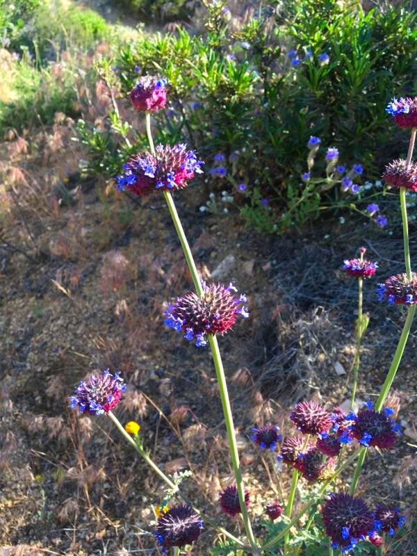 2016-04-26-21-42-44.jpg image