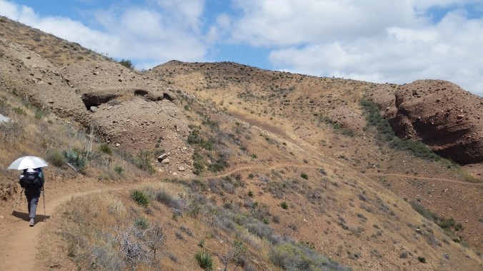 2016-05-06-12-00-07.jpg image