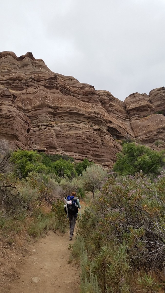 2016-05-06-12-03-03.jpg image