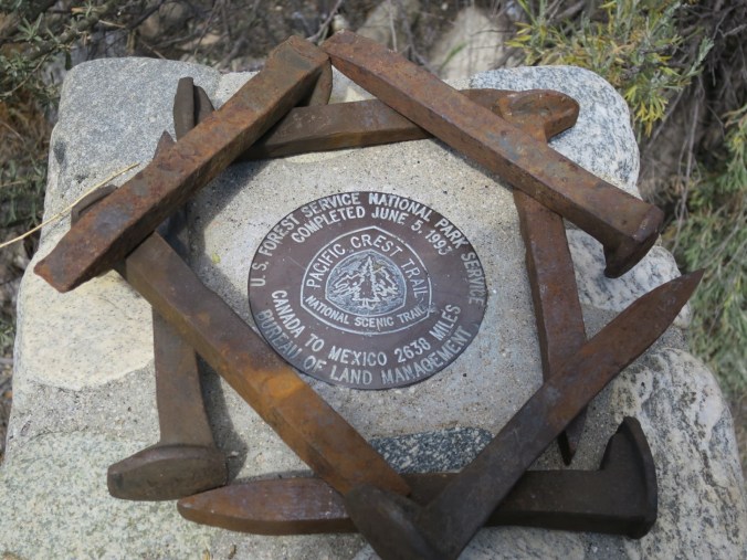 2016-05-06-12-16-27.jpg image