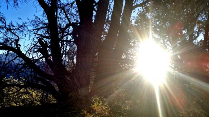 2016-05-19-20-31-33.jpg image