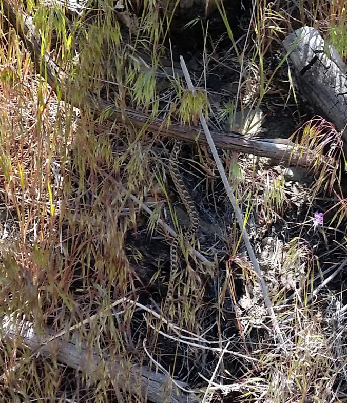 2016-05-19-20-35-29.jpg image