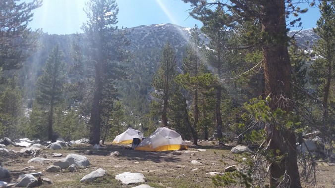 2016-06-06-20-32-31.jpg image