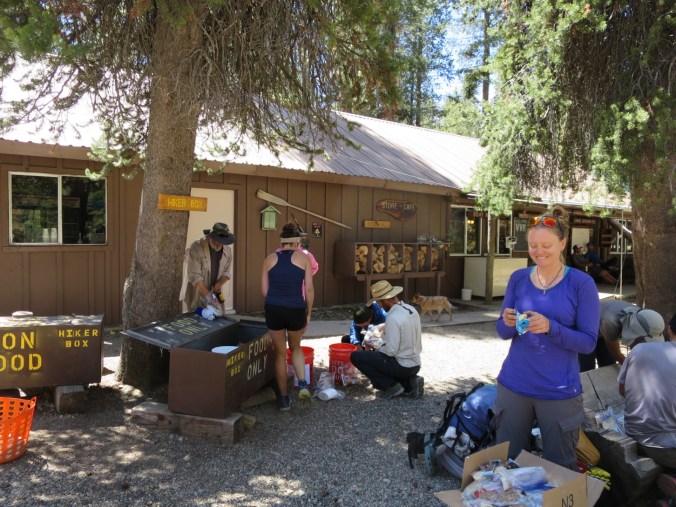 2016-06-11-12-28-03.jpg image