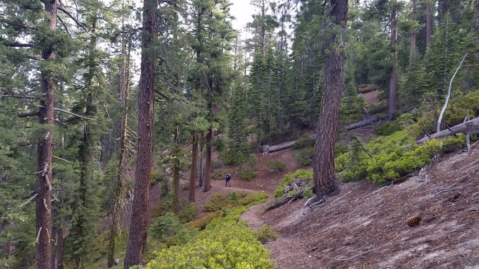 2016-06-16-20-39-45.jpg image