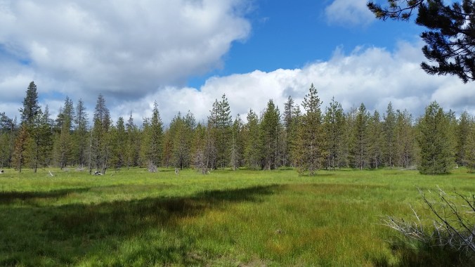 2016-06-16-20-40-18.jpg image