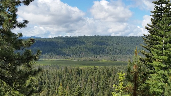 2016-06-16-20-40-33.jpg image