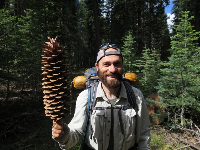 2016-06-16-21-28-10.jpg image