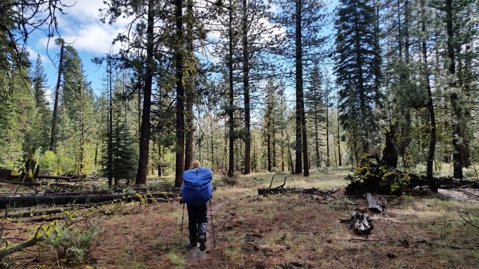 2016-06-18-20-04-27.jpg image