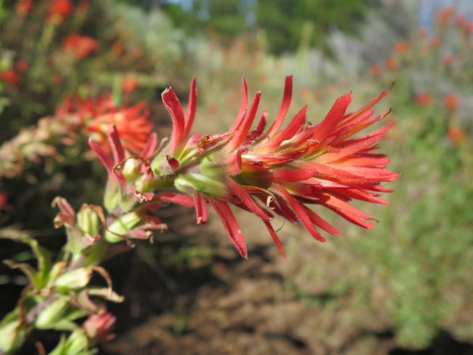 2016-06-18-20-16-03.jpg image