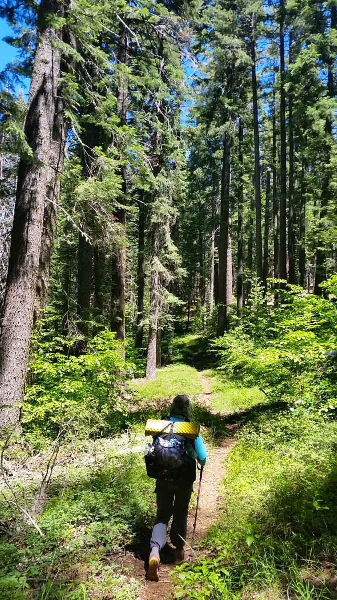 2016-06-21-22-41-52.jpg image