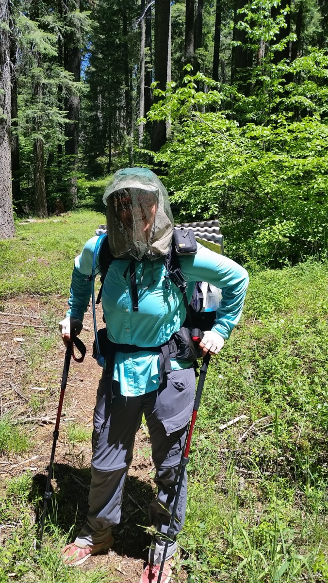 2016-06-21-22-42-09.jpg image