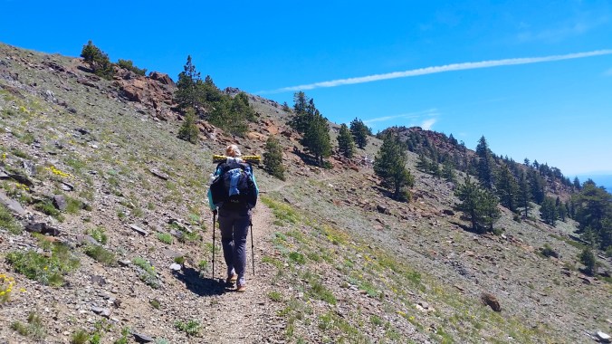 2016-06-26-21-07-56.jpg image