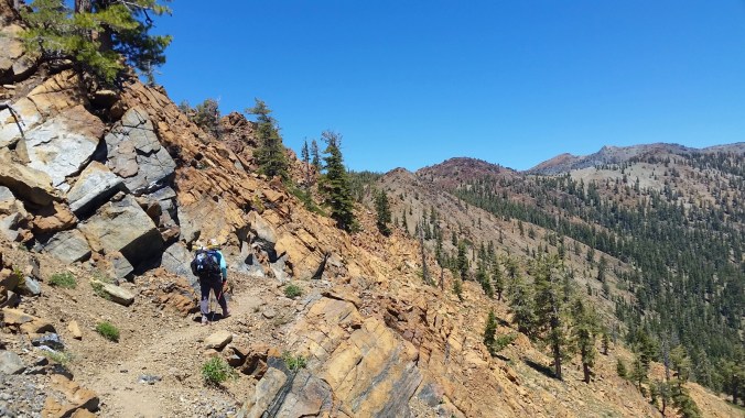 2016-06-26-21-10-39.jpg image