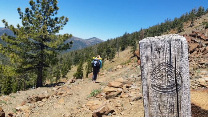 2016-06-26-21-11-03.jpg image