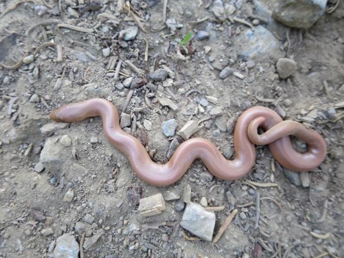 2016-06-30-21-35-22.jpg image