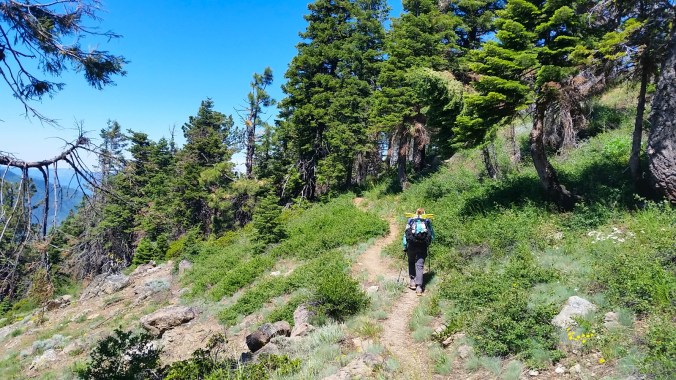 2016-07-01-21-18-31.jpg image