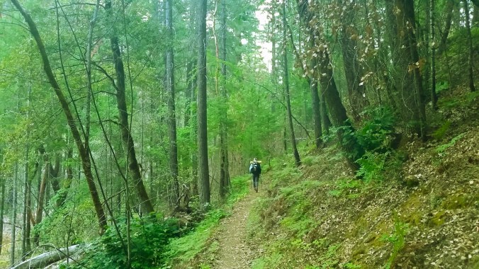 2016-07-01-21-22-37.jpg image