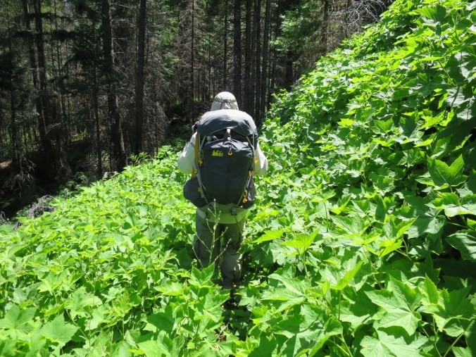 2016-07-01-21-31-34.jpg image