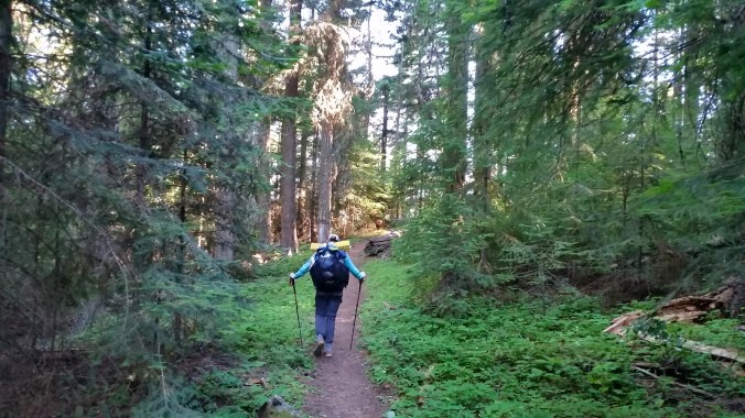 2016-07-06-21-23-43.jpg image