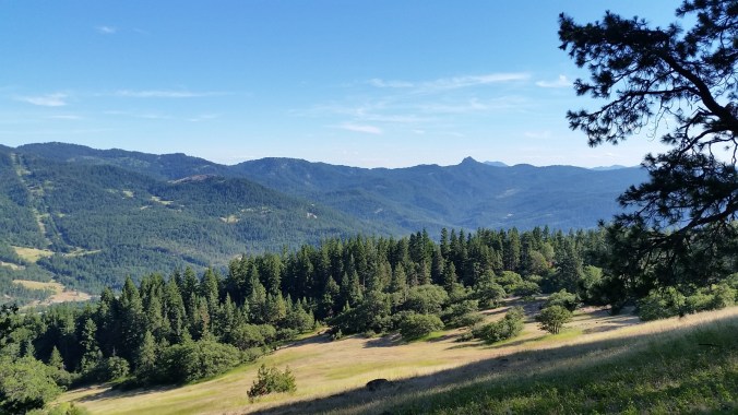 2016-07-06-21-24-06.jpg image