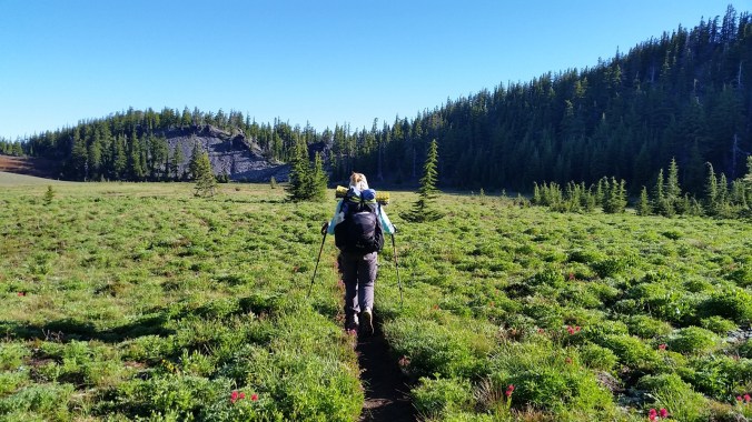 2016-07-20-22-17-54.jpg image