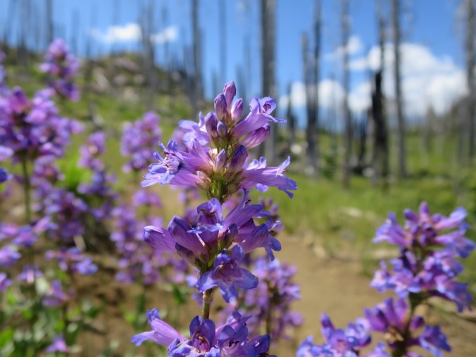 2016-07-21-22-06-46.jpg image