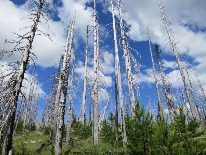 2016-07-21-22-06-57.jpg image