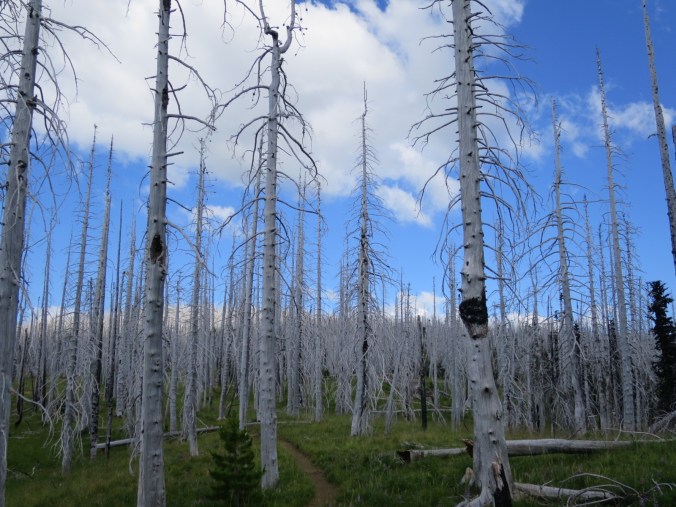 2016-07-21-22-07-10.jpg image